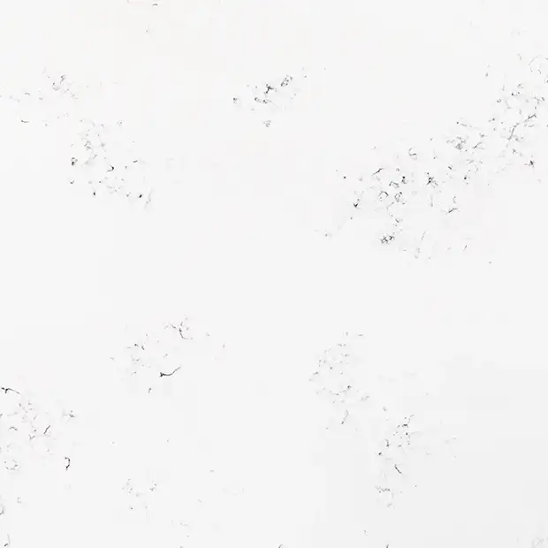 AQ1101